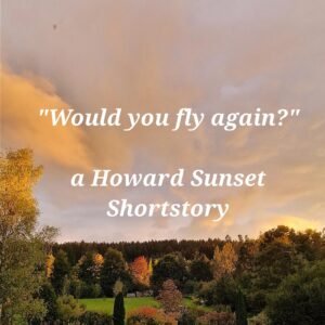 The Suspense Short Story: "Would you fly again?" (PLR & MRR Resell Rights)