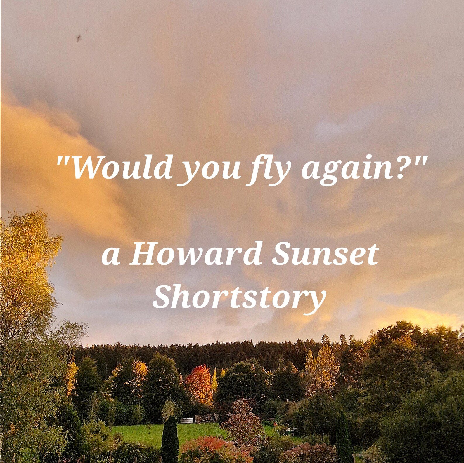 The Suspense Short Story: "Would you fly again?" (PLR & MRR Resell Rights)
